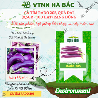 Hạt giống cà tím rado 205 rạng đông, quả dài, chịu nhiệt tốt, sinh trưởng khỏe trồng quanh năm