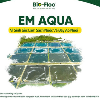 Em aqua vi sinh gốc - làm sạch và ổn định màu nước - ts 247