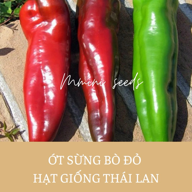 Hạt giống ớt ngọt sừng bò