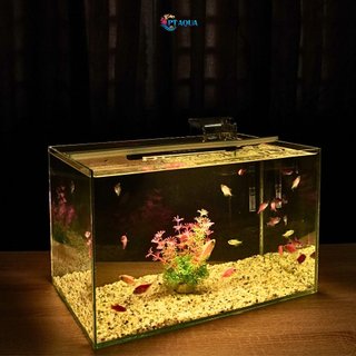Đèn bể cá FULL VÀNG dành cho hồ cá cảnh