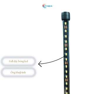 Đèn bể cá FULL VÀNG dành cho hồ cá cảnh