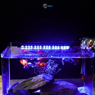 Đèn bể cá Blue xanh biển dành cho hồ cá cảnh