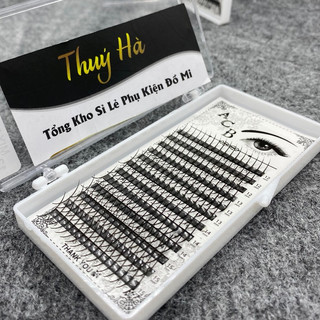 Mi trụ Katun siêu đẹp dày 0.07 cong C-CC-D Mix (8-13mm),(12-15mm),(14-20mm) mi chập sợi trụ sẵn - Thúy Hà