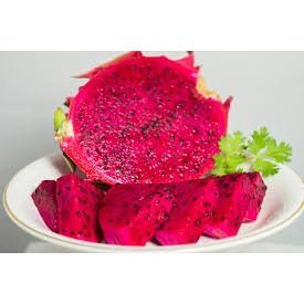 CÂY GIỐNG THANH LONG ĐỎ