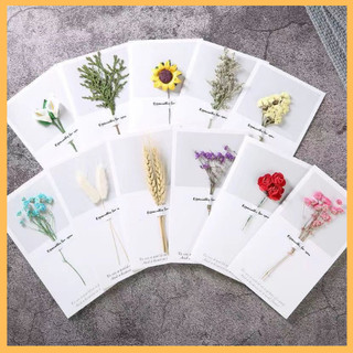 Thiệp chúc mừng sinh nhật hoa khô handmade tinh tế siêu xinh century gift