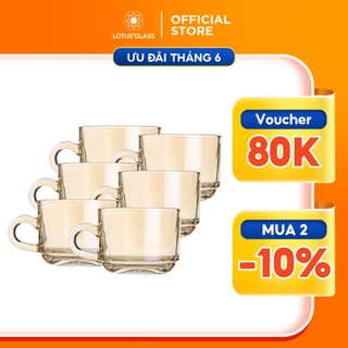 Bộ cốc đĩa thủy tinh LOTUS GLASS VTC166 màu hổ phách trong suốt có quai cao cấp, an toàn, dùng để uống trà, cafe
