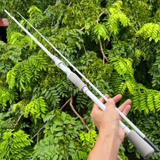  Cần Lure Dawa Trắng Độ Cứng M Ngọn To 2.2ly Tải Cá Khỏe 