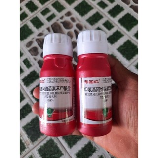 Trĩ Đỏ Hoa Hồngphun hoa hồng,hoa kiểng,rau các loại