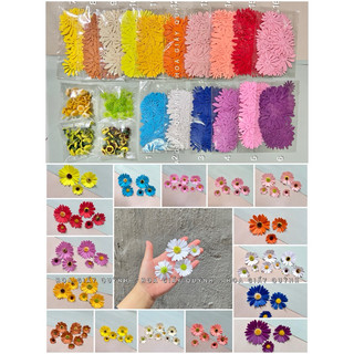 Combo làm đầu hoa cúc giấy 3 size có đài và nhuỵ