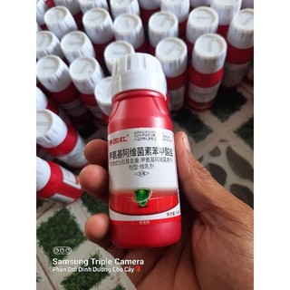 Combo Trĩ Nhện