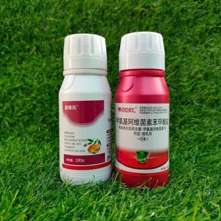 Combo Trĩ Nhện