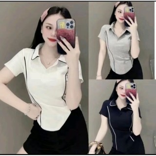  Áo polo cổ bẻ phối viền Bigsize form ôm dáng chất thun tăm co giãn