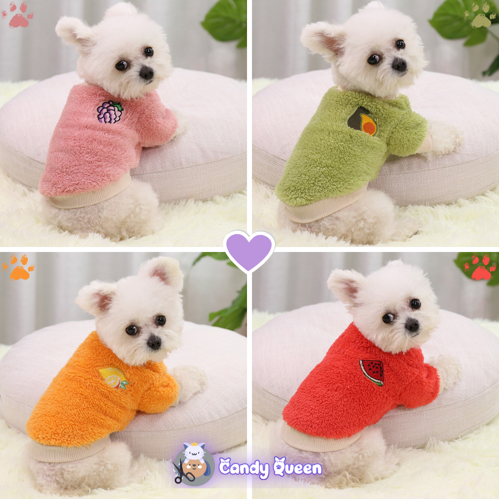Áo Nỉ Ấm Cho Chó Mèo Thú Cưng Mặc Ấm Áp, In Hình Bơ, Dưa Hấu, Nho, Cam Trên Lưng