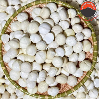 Nhân hạt macca Lai Châu nguyên hạt (500g, 1kg) làm sữa, sấy khô từ hạt quả macca, mắc ca, mac ca hữu cơ tươi loại 1