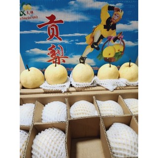 1kg Lê đường giòn, ngọt.