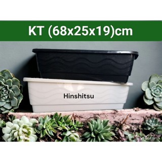 Combo 3 Chậu Nhựa Trồng Hoa, Chậu Nhựa Trồng Rau, Chậu Nhựa Chữ Nhật, Khay Nhựa Trồng Hoa KT (680x250x190)mm - KHAY HOA