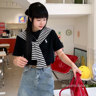 [TẶNG KÈM KHĂN CHOÀNG] Áo Thun Baby Tee Thêu Họa Tiết Ngựa Chất Cotton Mát