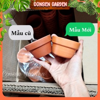 Chậu đất nung trồng sen đá 7x 4cm