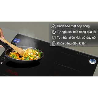 Bếp từ đôi lắp âm BlueStone ICB-6917