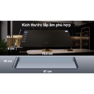 Bếp từ đôi lắp âm BlueStone ICB-6917