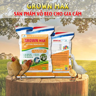 Grown max Siêu tăng tốc vỗ béo gia súc gia cầm hiệu quả rõ rệt sau 7 -10 ngày sử dụng