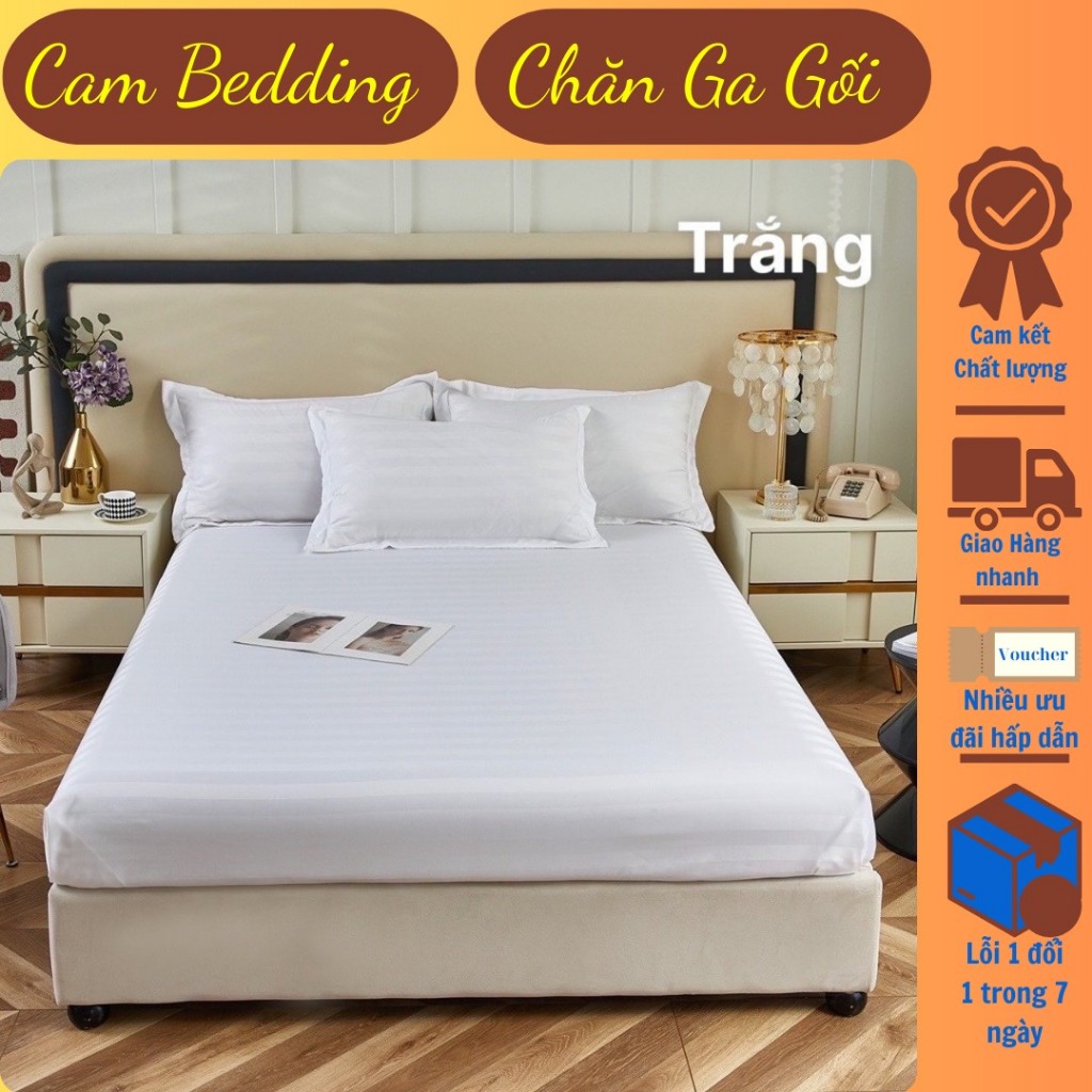 Cotton Kẻ 3f || Set Bộ 3 món Ga + 2 Vỏ Gối Cotton Kẻ 3f Chuyên Dụng Dành Cho Khách Sạn
