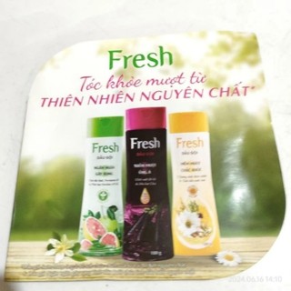 Combo 10 gói dầu gội Fresh ( 5 bưởi , 5 bồ kết )