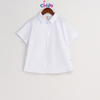Áo sơ mi đi học Chippo cho bé trai từ 7-12 Tuổi (21-40Kg)