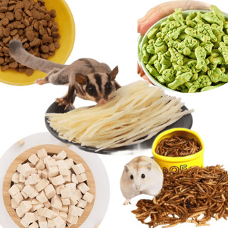  Khô Cá Sợi Sâu Sấy Gà Viên Bánh Cá Hạt Đồ Ăn Văt Cho Sóc Bay Úc Chuột Hamster... 