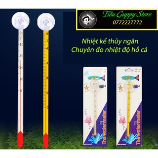 Nhiệt kế thủy ngân dán trong hồ cá