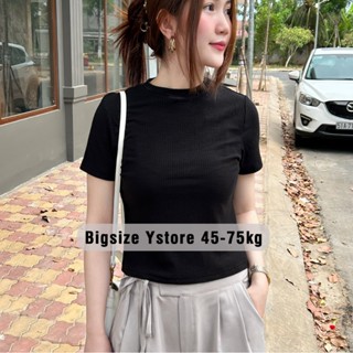 Áo thun trơn form ôm babytee basic chất liệu thun co giãn 4 chiều bigsize 45-75kg - Ystore Bigsize