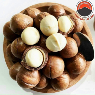 Hạt macca Lai Châu nguyên hạt loại 1 (500g 1kg) làm sữa, sấy khô từ hạt quả macca, mắc ca, mac ca hữu cơ tươi size đại