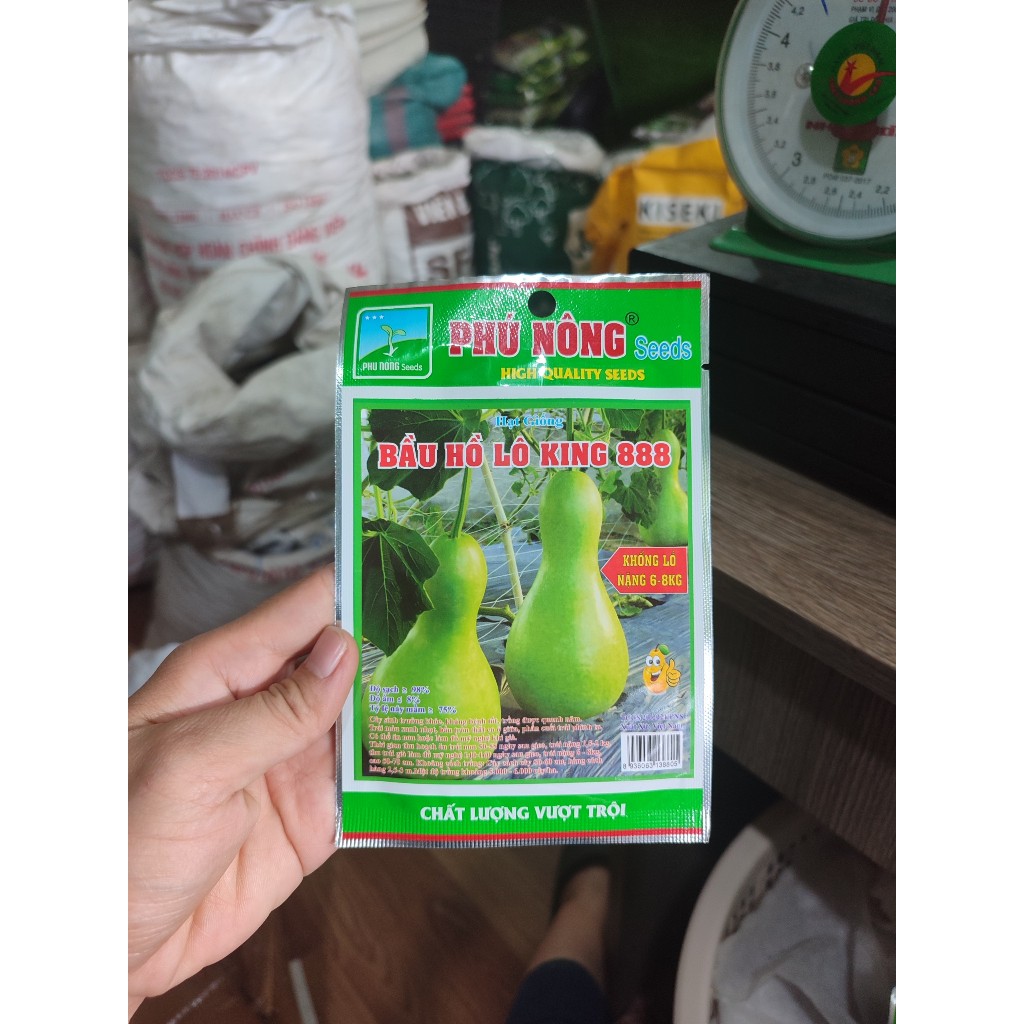 Bầu hồ lô khổng lồ 888 - 1gr
