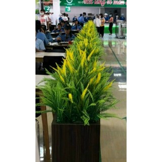 Hoa giả/Cụm hoa điểm chồn