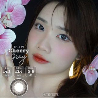 Kính Áp Tròng Tinteye Lens TF-579 Cherry Gray