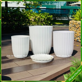 Chậu nhựa trông cây, chậu bom sóng dáng cao trồng hoa, cây kiểng , bon sai trang trí bán công, văn phòng NHỰA ĐỨC MINH