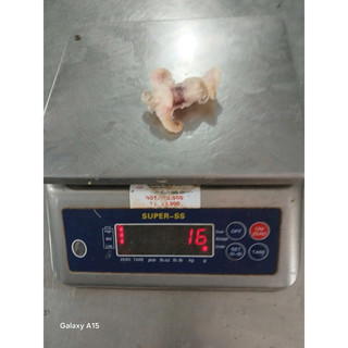 Đầu Mực Mini 1kg net 7 (giao tphcm)