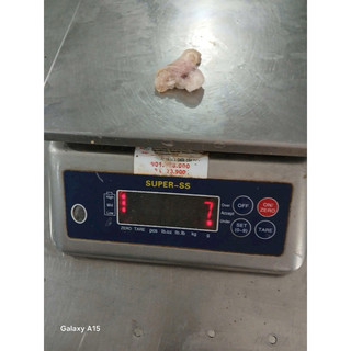 Đầu Mực Mini 1kg net 7 (giao tphcm)