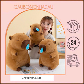 Gấu bông capybara chảy nước mũi - Mũi liền