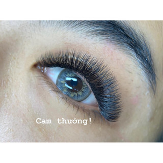 mi khay cong D