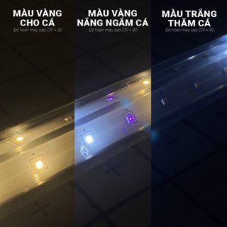 Đèn Bối Zako D35 3 Chế Độ