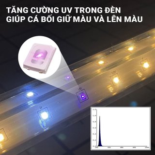 Đèn Bối Zako D35 3 Chế Độ