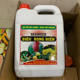 Siêu rong biển, ra rễ cực mạnh, phục hồi nhanh, can 5 lít thích hợp cho nhà vườn