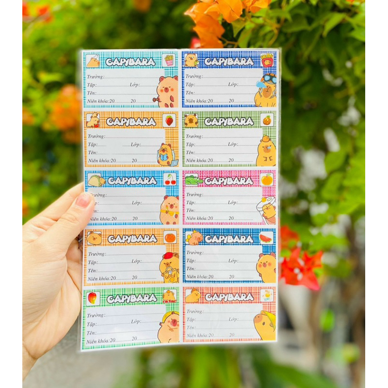 Bộ 50 nhãn vở CapyBara