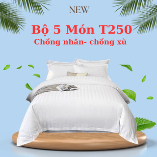 Bộ chăn ga gối sọc 3cm t250 khách sạn được yêu thích nhất cho khách sạn đến 3 sao và homestay