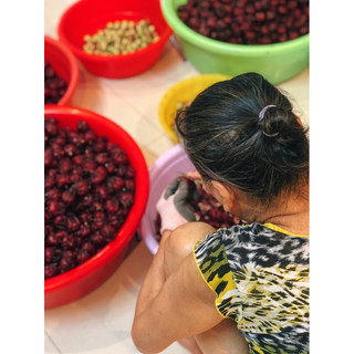 [MNCHOAATISO] • NƯỚC CỐT HOA ATISO ĐỎ _ Chai 400gr