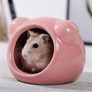 Nhà ngủ sứ cho Hamster