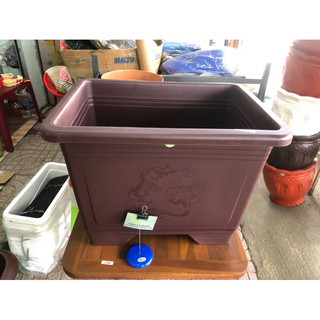 Chậu chữ nhật cao - Màu ngẫu nhiên