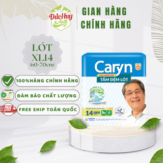 Tấm đệm lót caryn mỏng nhẹ xl14 miếng 60 x70cm