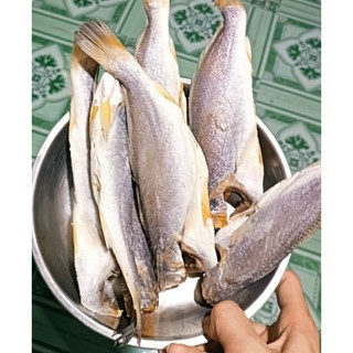 Khô đù, đổng, mực chuối 500gr